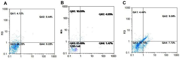 https://cdn.ncbi.nlm.nih.gov/pmc/blobs/3954/7846832/41aef3291ba4/IJN-16-579-g0007.jpg