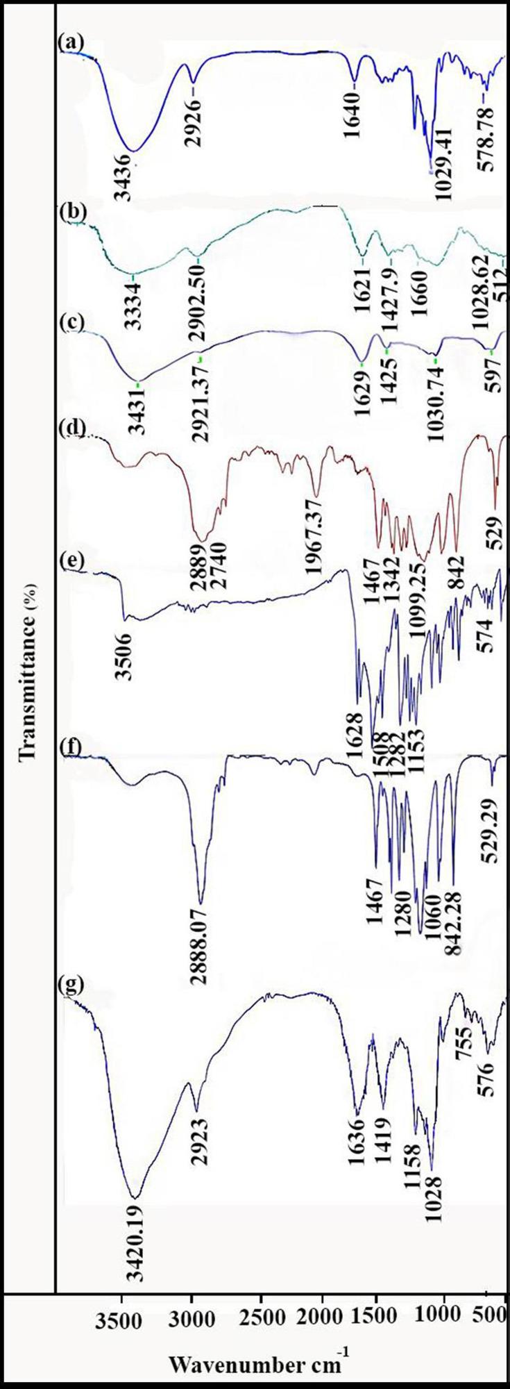 https://cdn.ncbi.nlm.nih.gov/pmc/blobs/3954/7846832/f5c7c6b26a7a/IJN-16-579-g0001.jpg