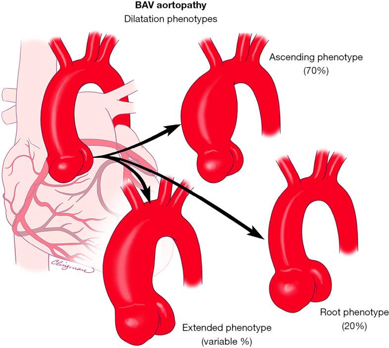 https://cdn.ncbi.nlm.nih.gov/pmc/blobs/3957/9357966/bda0d2b3d232/acs-11-04-402-f10.jpg