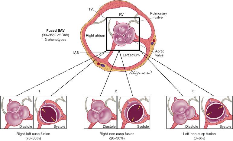 https://cdn.ncbi.nlm.nih.gov/pmc/blobs/3957/9357966/e5054d09dd61/acs-11-04-402-f4.jpg