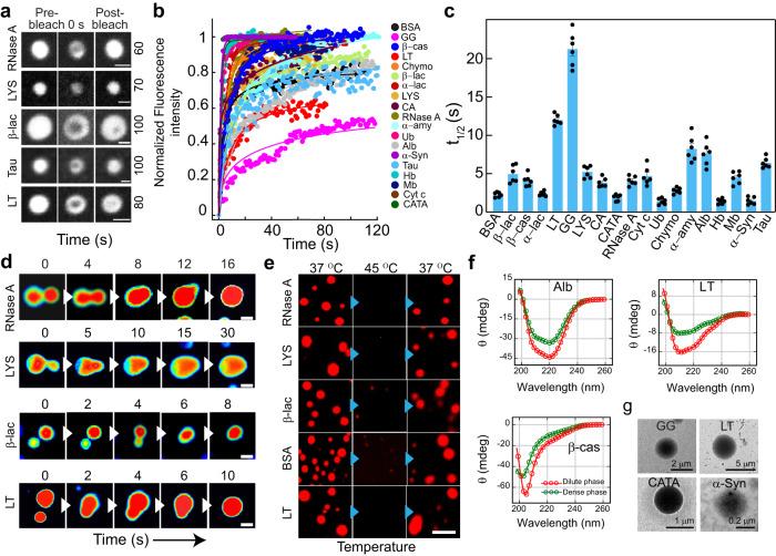https://cdn.ncbi.nlm.nih.gov/pmc/blobs/3958/10550955/3e7bfade5376/41467_2023_41864_Fig3_HTML.jpg