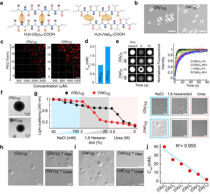 https://cdn.ncbi.nlm.nih.gov/pmc/blobs/3958/10550955/65020efb107d/41467_2023_41864_Fig7_HTML.jpg
