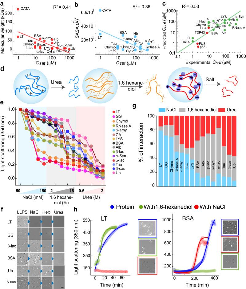 https://cdn.ncbi.nlm.nih.gov/pmc/blobs/3958/10550955/9d9d04ed3f42/41467_2023_41864_Fig5_HTML.jpg