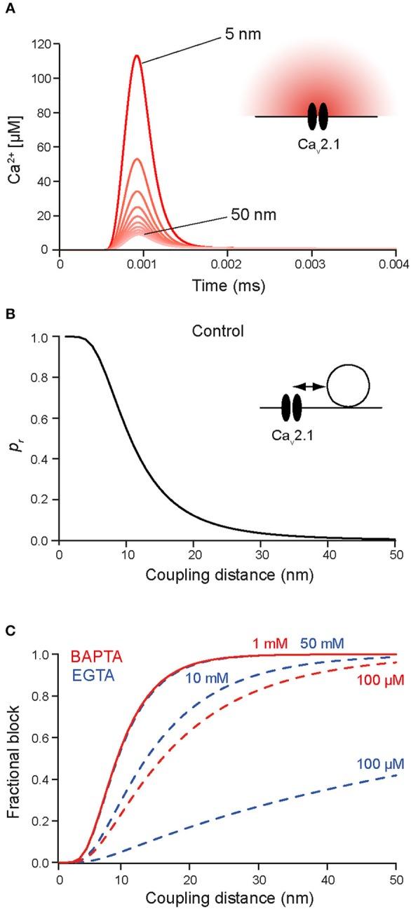 https://cdn.ncbi.nlm.nih.gov/pmc/blobs/3958/6341215/2ca2fb283112/fnmol-11-00494-g0003.jpg