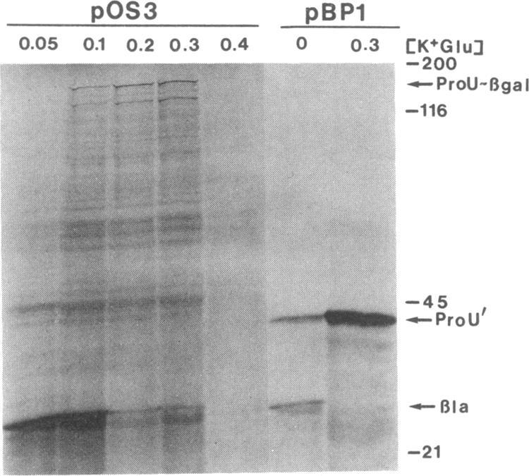 https://cdn.ncbi.nlm.nih.gov/pmc/blobs/3959/286644/117ed146aff2/pnas00244-0060-a.jpg