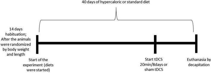 https://cdn.ncbi.nlm.nih.gov/pmc/blobs/3959/8154948/851696b1cade/41598_2021_90563_Fig1_HTML.jpg