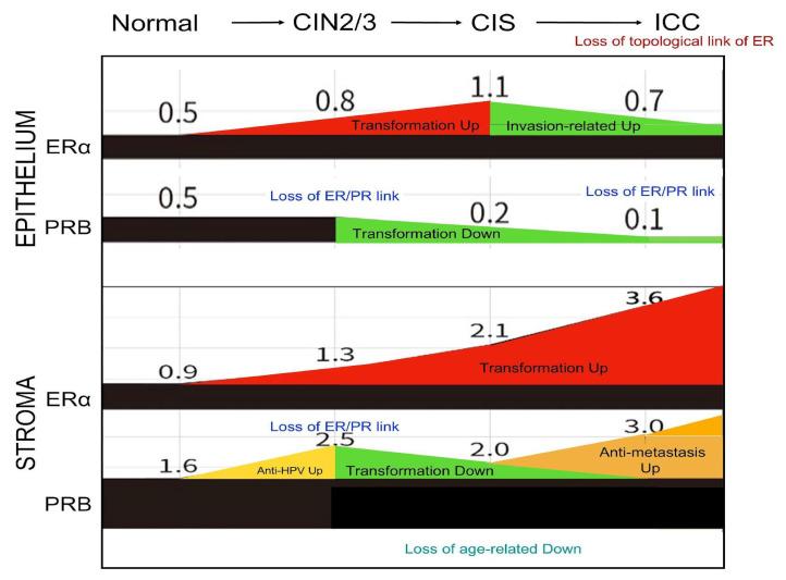 https://cdn.ncbi.nlm.nih.gov/pmc/blobs/395a/12073007/424f59f98390/ijms-26-04418-g005.jpg
