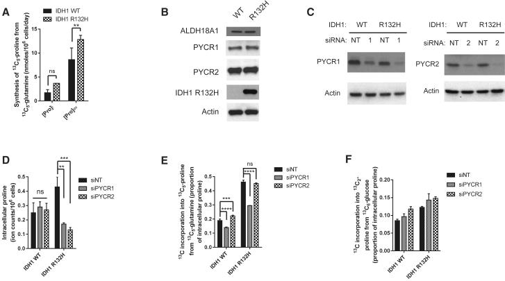 https://cdn.ncbi.nlm.nih.gov/pmc/blobs/395c/5883319/40b9551544e0/gr2.jpg
