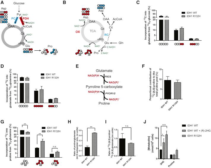 https://cdn.ncbi.nlm.nih.gov/pmc/blobs/395c/5883319/cb9bddd565e9/gr1.jpg