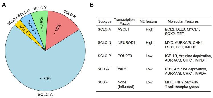 https://cdn.ncbi.nlm.nih.gov/pmc/blobs/395e/12029361/c113c11c8d5b/molecules-30-01731-g001.jpg