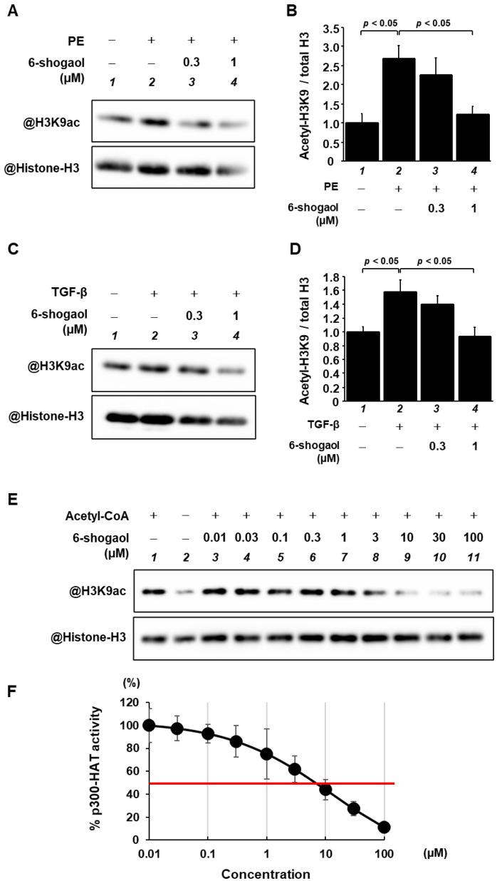 https://cdn.ncbi.nlm.nih.gov/pmc/blobs/395f/10181444/11fa5fdb3e99/nutrients-15-02232-g004.jpg