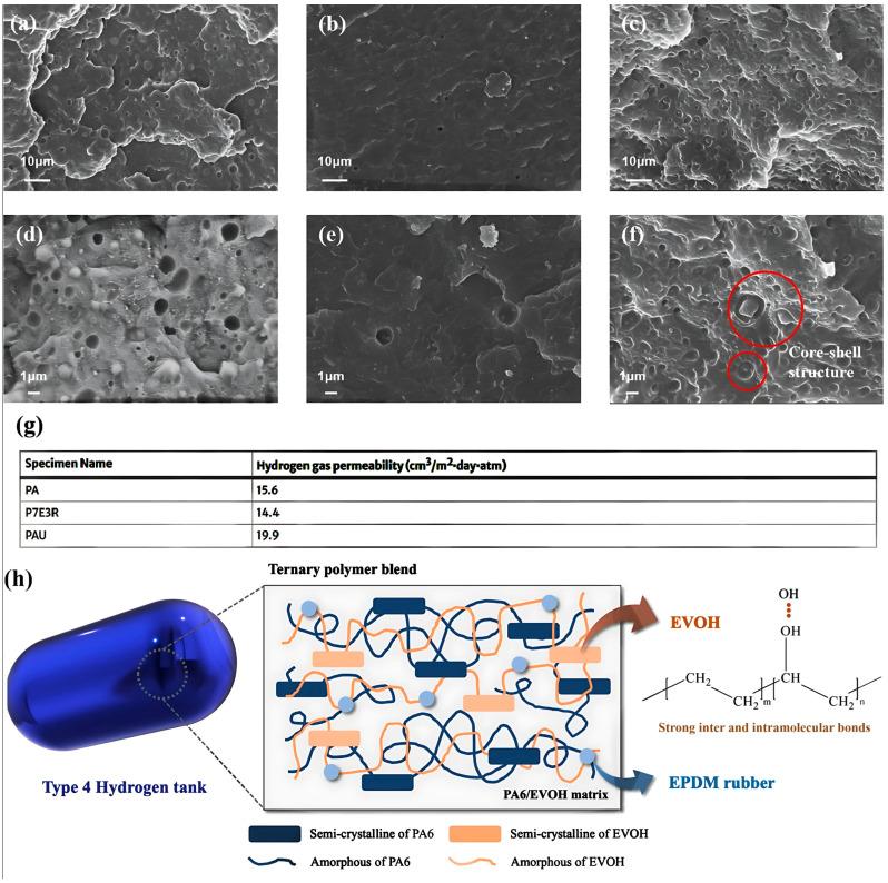 https://cdn.ncbi.nlm.nih.gov/pmc/blobs/395f/12073770/1e66c5345787/polymers-17-01231-g003.jpg