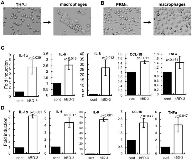 https://cdn.ncbi.nlm.nih.gov/pmc/blobs/3960/2882331/d07879d79091/pone.0010993.g006.jpg