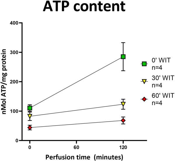 https://cdn.ncbi.nlm.nih.gov/pmc/blobs/3962/11235286/08ef5e081bc0/frtra-02-1132673-g006.jpg