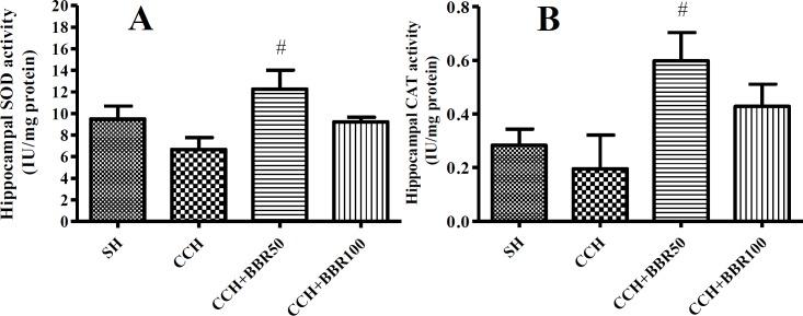 https://cdn.ncbi.nlm.nih.gov/pmc/blobs/3963/6396990/a096a675e196/IJBMS-22-154-g006.jpg