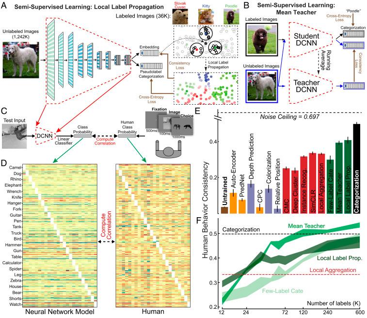 https://cdn.ncbi.nlm.nih.gov/pmc/blobs/3964/7826371/5f84d21f375b/pnas.2014196118fig04.jpg