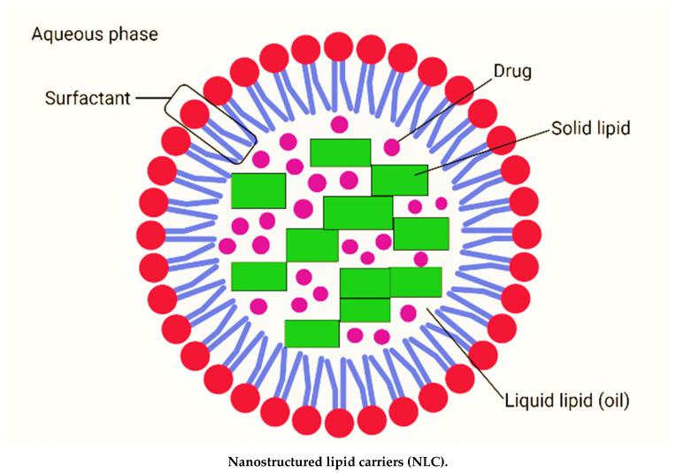 https://cdn.ncbi.nlm.nih.gov/pmc/blobs/3965/8746478/d7900299a048/molecules-27-00289-g001.jpg