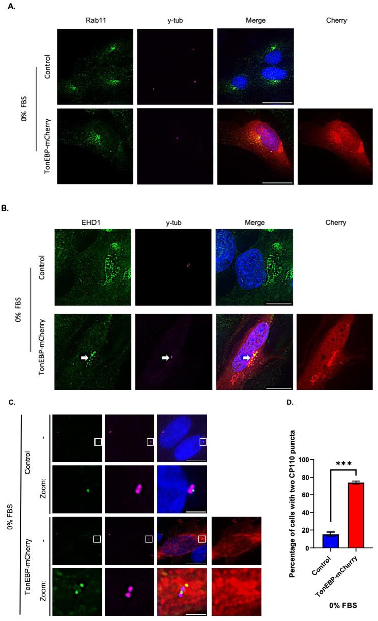 https://cdn.ncbi.nlm.nih.gov/pmc/blobs/3966/11221002/9c4f753f499c/12964_2024_1721_Fig5_HTML.jpg