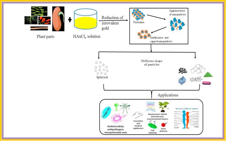 https://cdn.ncbi.nlm.nih.gov/pmc/blobs/3968/5614687/a5760edae63a/gr1.jpg