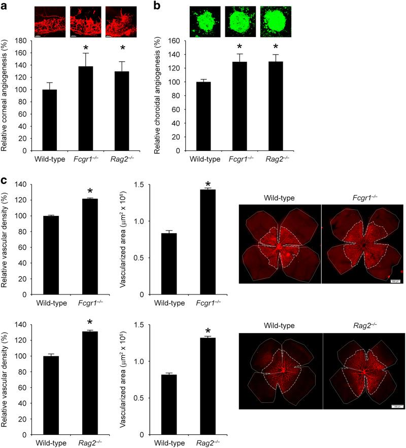 https://cdn.ncbi.nlm.nih.gov/pmc/blobs/3968/5661654/61c5b2448dc3/sigtrans20151-f5.jpg