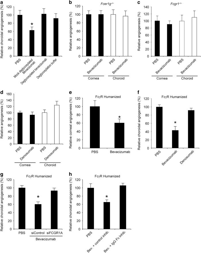 https://cdn.ncbi.nlm.nih.gov/pmc/blobs/3968/5661654/ffcd19199dec/sigtrans20151-f2.jpg