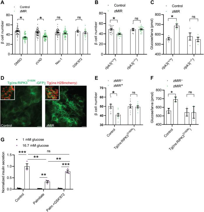 https://cdn.ncbi.nlm.nih.gov/pmc/blobs/396a/11206196/5a27d5dc5c78/abd7272-f2.jpg