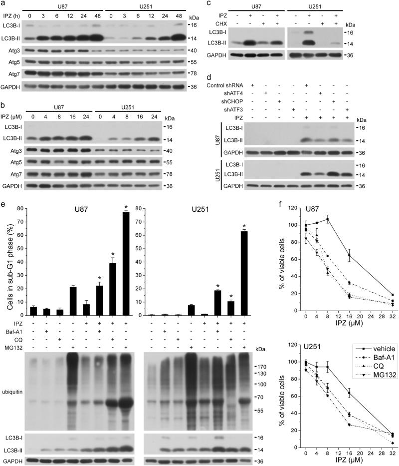 https://cdn.ncbi.nlm.nih.gov/pmc/blobs/396f/5978811/b228a5ffde07/41388_2018_180_Fig6_HTML.jpg
