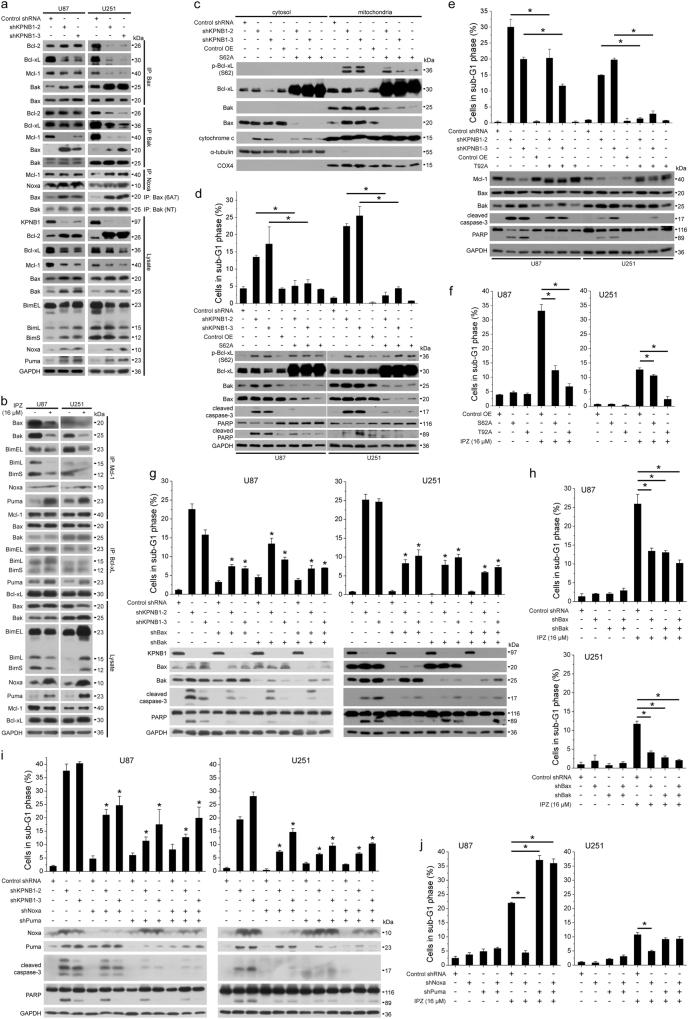https://cdn.ncbi.nlm.nih.gov/pmc/blobs/396f/5978811/f6e2d294a325/41388_2018_180_Fig3_HTML.jpg