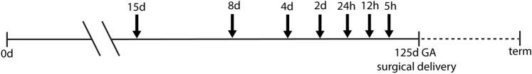 https://cdn.ncbi.nlm.nih.gov/pmc/blobs/3972/8121927/225d235775ca/41598_2021_89542_Fig1_HTML.jpg