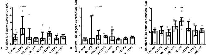 https://cdn.ncbi.nlm.nih.gov/pmc/blobs/3972/8121927/bcb9a5c3bf65/41598_2021_89542_Fig3_HTML.jpg