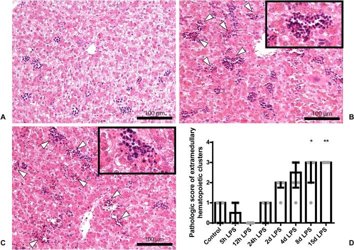 https://cdn.ncbi.nlm.nih.gov/pmc/blobs/3972/8121927/eb79b467f80e/41598_2021_89542_Fig2_HTML.jpg