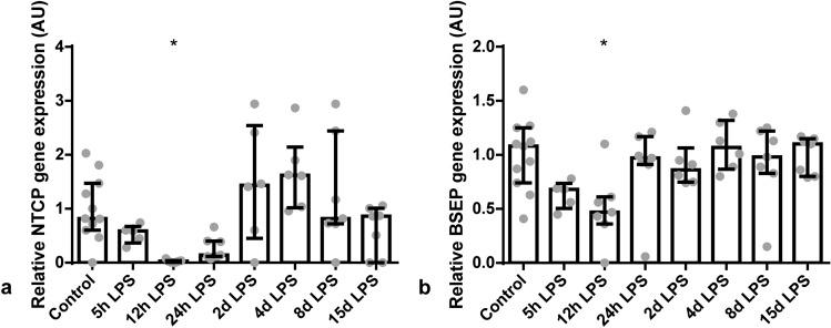 https://cdn.ncbi.nlm.nih.gov/pmc/blobs/3972/8121927/f059800d0c81/41598_2021_89542_Fig4_HTML.jpg