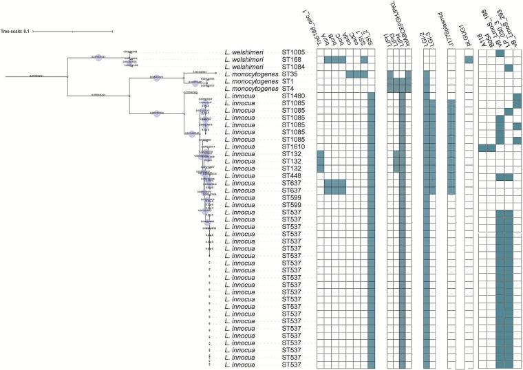 https://cdn.ncbi.nlm.nih.gov/pmc/blobs/3972/9604131/f119de11cb07/spectrum.01189-22-f002.jpg
