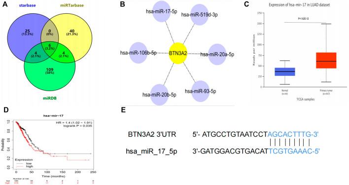 https://cdn.ncbi.nlm.nih.gov/pmc/blobs/3974/9298880/32517e0bf94f/fgene-13-848476-g006.jpg