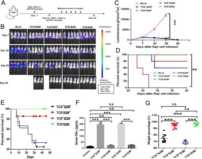 https://cdn.ncbi.nlm.nih.gov/pmc/blobs/3977/10992951/1c6d2f235e6b/262_2023_3586_Fig2_HTML.jpg
