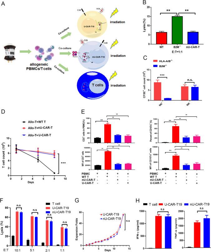 https://cdn.ncbi.nlm.nih.gov/pmc/blobs/3977/10992951/56f37739d2fa/262_2023_3586_Fig4_HTML.jpg