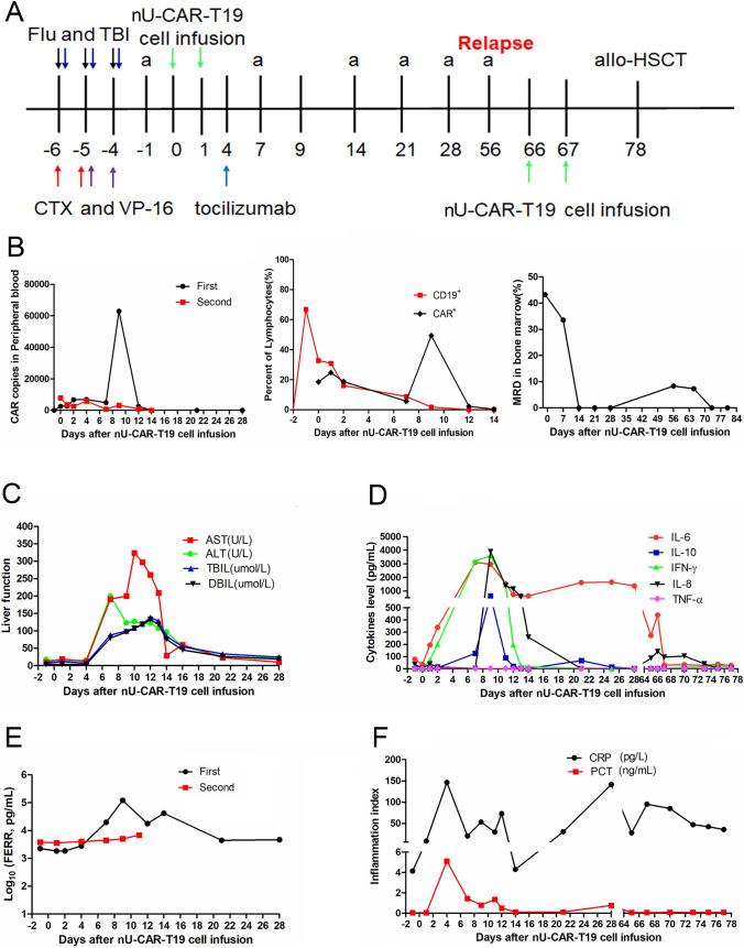 https://cdn.ncbi.nlm.nih.gov/pmc/blobs/3977/10992951/f41156f0e1d9/262_2023_3586_Fig6_HTML.jpg
