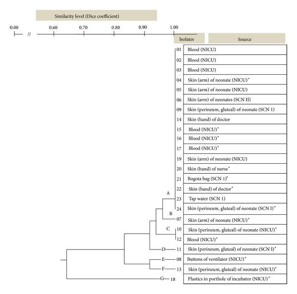 https://cdn.ncbi.nlm.nih.gov/pmc/blobs/397a/3830835/ecedea5df566/IJMB2013-180763.003.jpg