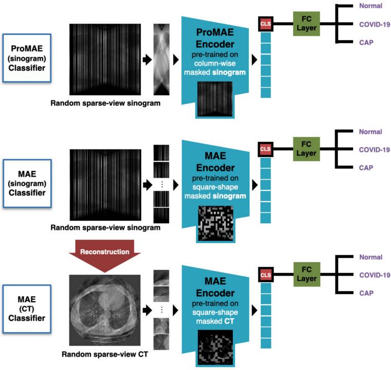 https://cdn.ncbi.nlm.nih.gov/pmc/blobs/397b/12229398/c178ace27039/13534_2025_478_Fig5_HTML.jpg