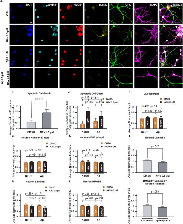 https://cdn.ncbi.nlm.nih.gov/pmc/blobs/397b/12297865/3d121e15987e/13195_2025_1822_Fig5_HTML.jpg
