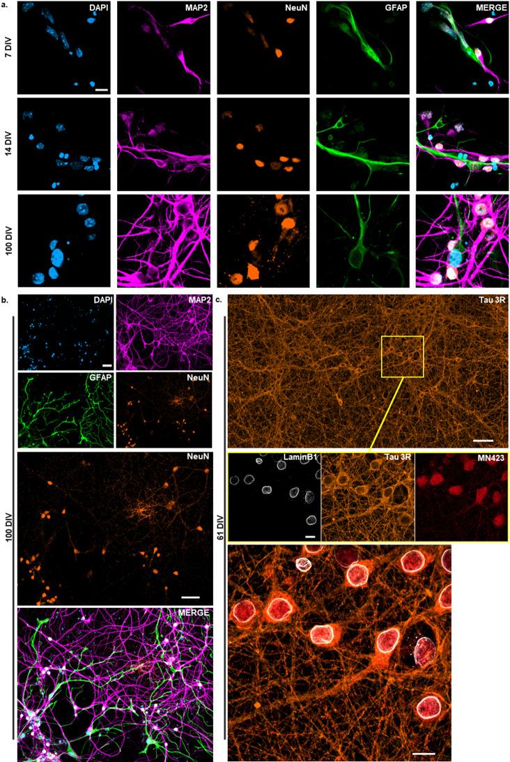 https://cdn.ncbi.nlm.nih.gov/pmc/blobs/397b/12297865/43048735e95f/13195_2025_1822_Fig1_HTML.jpg