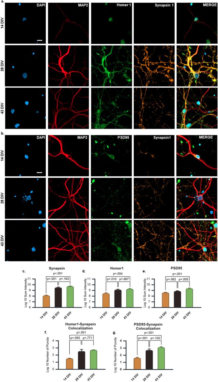https://cdn.ncbi.nlm.nih.gov/pmc/blobs/397b/12297865/ac9533fc466c/13195_2025_1822_Fig2_HTML.jpg
