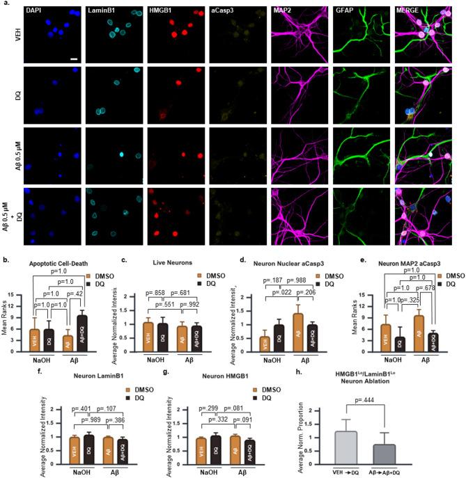 https://cdn.ncbi.nlm.nih.gov/pmc/blobs/397b/12297865/ebef5e5e91a9/13195_2025_1822_Fig7_HTML.jpg