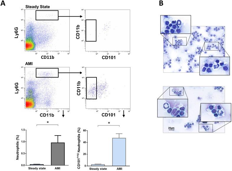 https://cdn.ncbi.nlm.nih.gov/pmc/blobs/397b/8324297/14d7c5541cd3/elife-66808-fig7.jpg