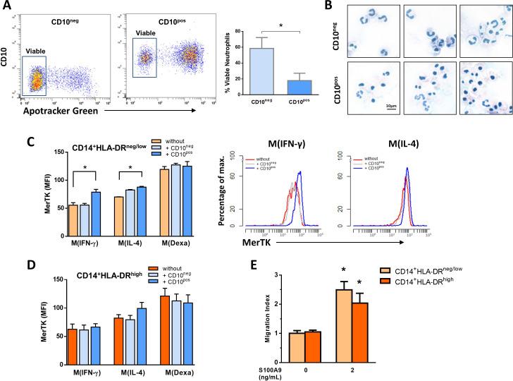 https://cdn.ncbi.nlm.nih.gov/pmc/blobs/397b/8324297/d92d7ba61dab/elife-66808-fig4-figsupp3.jpg