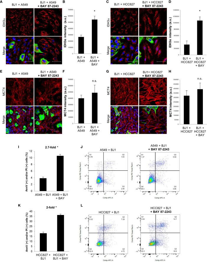 https://cdn.ncbi.nlm.nih.gov/pmc/blobs/397b/9259095/81512288c5c5/fonc-12-906494-g005.jpg