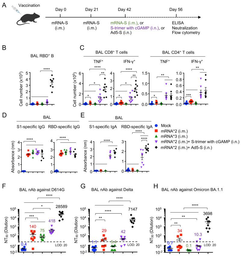 https://cdn.ncbi.nlm.nih.gov/pmc/blobs/397b/9348751/a20c8d06c209/sciimmunol.add4853-f4.jpg