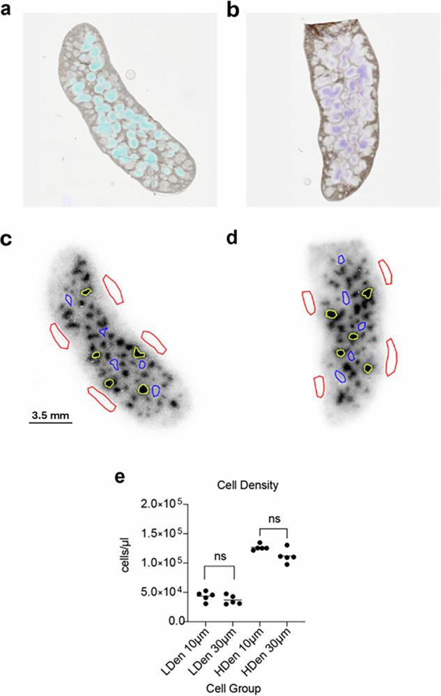https://cdn.ncbi.nlm.nih.gov/pmc/blobs/397c/12081844/1a348a997884/44172_2025_426_Fig5_HTML.jpg