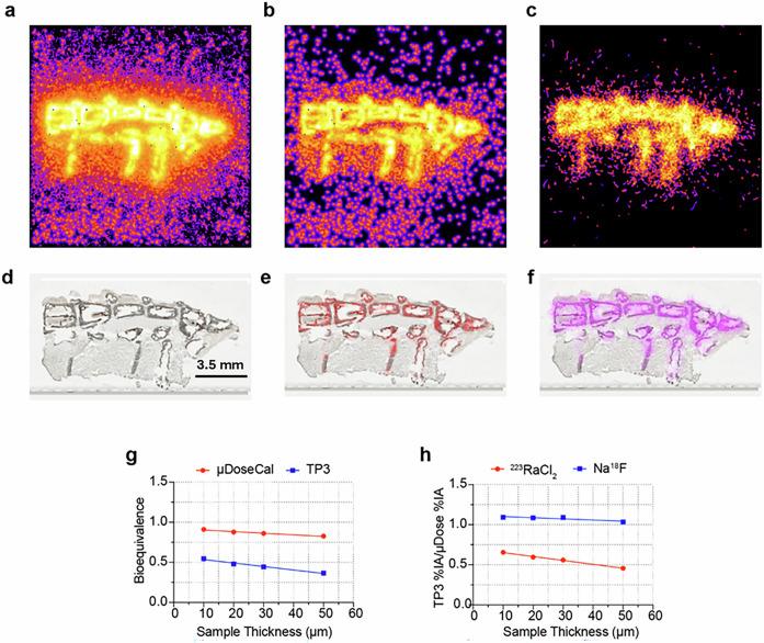 https://cdn.ncbi.nlm.nih.gov/pmc/blobs/397c/12081844/30b735db72f9/44172_2025_426_Fig6_HTML.jpg