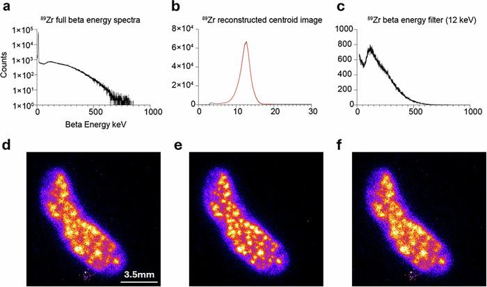 https://cdn.ncbi.nlm.nih.gov/pmc/blobs/397c/12081844/b0f9259aefe1/44172_2025_426_Fig4_HTML.jpg